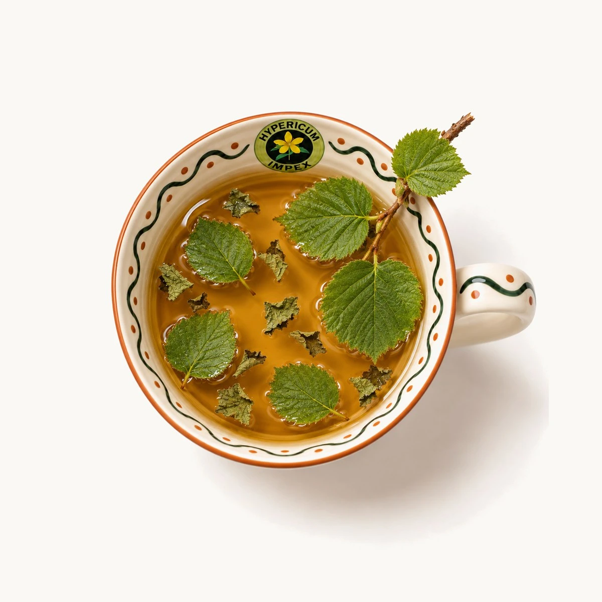 Ceai de Alun vrac din frunze de Corylus avellana. Proprietăți venotonice, hemostatice, antiinflamatoare. Adjuvant pentru varice, hemoroizi și detoxifiere.