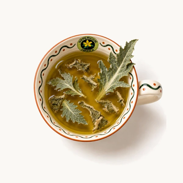 Ceai Anghinare vrac din frunze Cynara scolymus. Hepatoprotector, coleretic, colagog. Susține ficatul, colecistul, reglează colesterolul și glicemia natural.