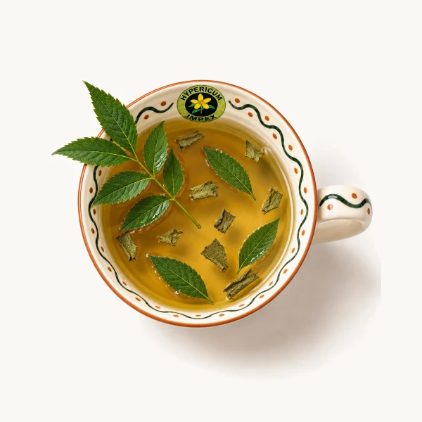 Ceai Frasin vrac — ceai natural din Frasin pentru acțiunea antiinflamatoare și antireumatică. Calitate Hypericum, vrac. Comandă online!