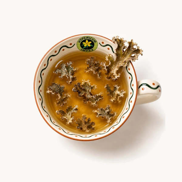 Ceai Lichen de Piatra vrac — ceai natural din Lichen de Piatra pentru susținerea funcției respiratorii și acțiunea antibacteriană. Calitate Hypericum, vrac.