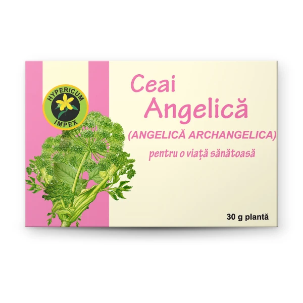 Ceai Angelică vrac din Angelica archangelica – susține digestia, elimină balonarea, combate infecțiile urinare și durerile reumatice. Hypericum.