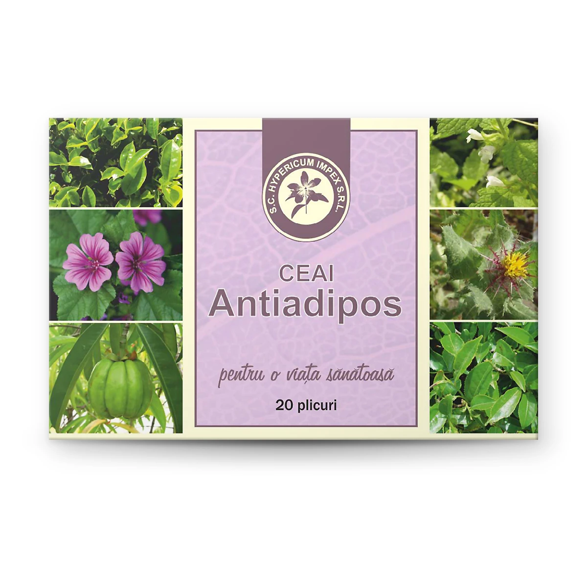Ceai Antiadipos doze cu Roiniță, Ceai verde, Nalbă, Schinel și Garcinia Cambogia. Susține scăderea în greutate, detoxifierea și echilibrarea colesterolului.