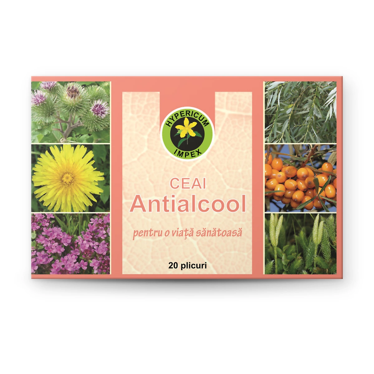 Ceai Antialcool Hypericum cu 7 plante: Sunătoare, Cătină, Salcie, Cimbrișor, Păpădie, Brusture, Pedicuță. Detoxifiere și protecție hepatică, 20 plicuri.