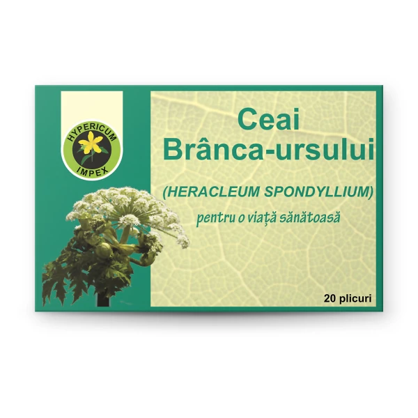 Ceai Brânca Ursului susține fertilitatea, reglează tensiunea arterială și reduce inflamația. Din flora spontană. Comandă online.