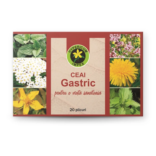 Ceai Gastric doze — amestec din 9 plante pentru protecție gastrică. Ceai natural Hypericum. Comandă online cu livrare!