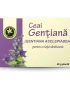 Ceai Gentiana vrac — ceai natural din Gentiana pentru stimularea apetitului și a secreției gastrice. Calitate Hypericum, vrac. Comandă online!