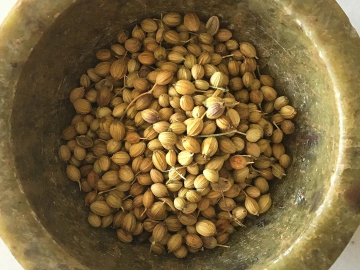 Fructe uscate de coriandru, rotunde, galben-brune, într-un mojar de alamă
