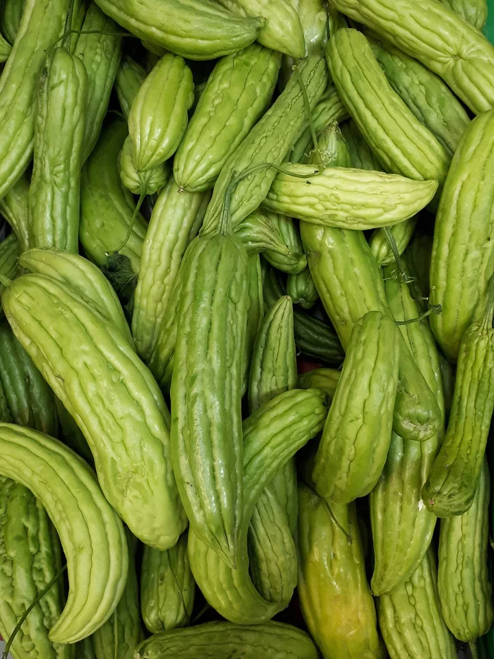 Grămadă de fructe lungi, verde-deschis, cu coaste largi, de momordica de tip ampalaya