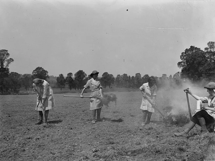 Fotografie alb-negru cu patru femei în halate, care strâng și ard iarbă pe un câmp arat, în Marea Britanie, între 1915 și 1918