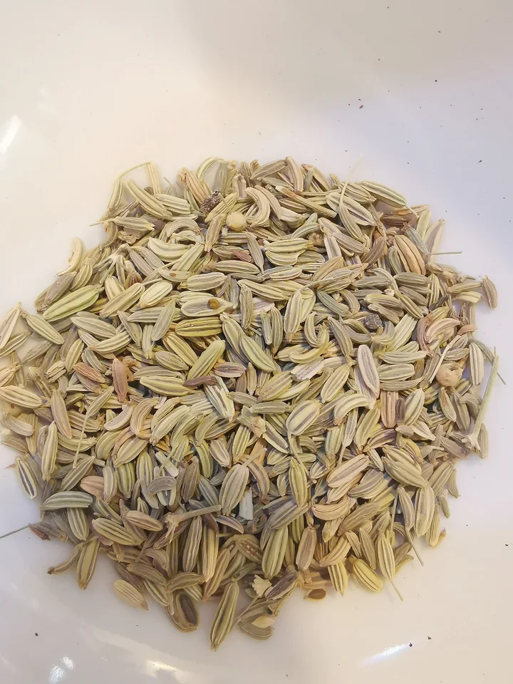 Grămadă de fructe uscate de fenicul, alungite și striate, pe o farfurie albă