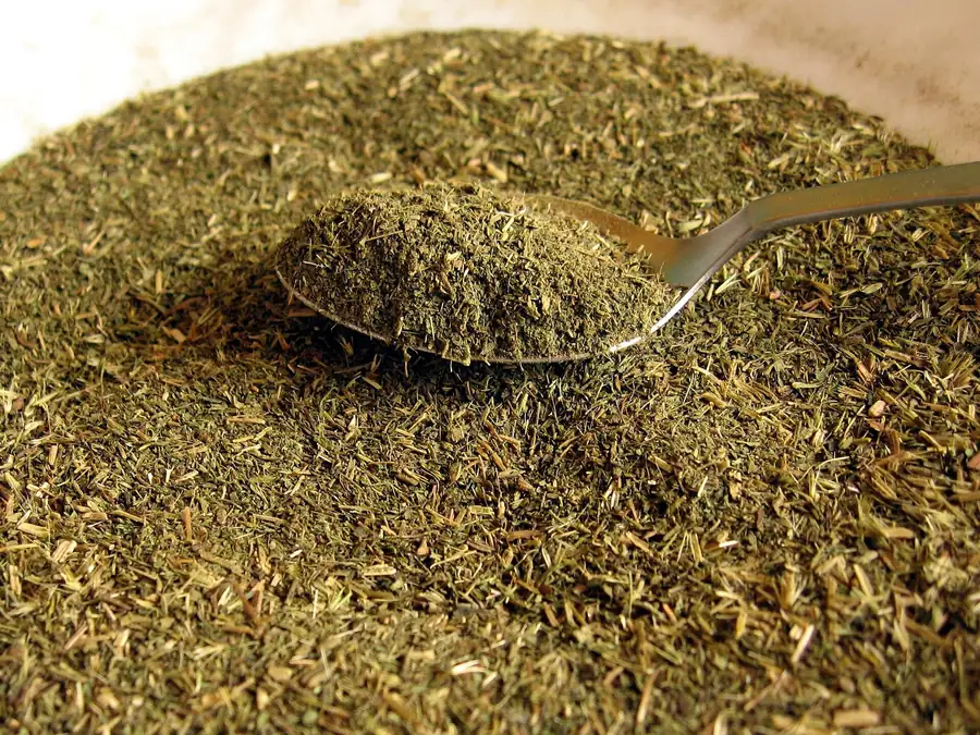 Frunze de stevia uscate și mărunțite, cu o linguriță metalică în mijlocul grămezii