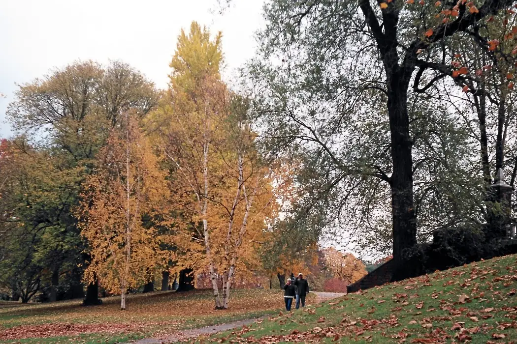 Două persoane pe o alee dintr-un parc, între copaci cu frunze galbene și arămii, toamna
