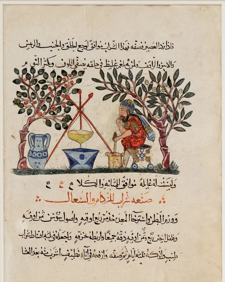Pagină ilustrată dintr-un manuscris arab: sub doi copaci, un medic pregătește un elixir, iar dedesubt urmează rânduri de text în arabă