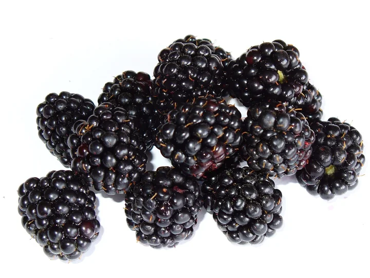 Mai multe mure negre, lucioase, pe fond alb