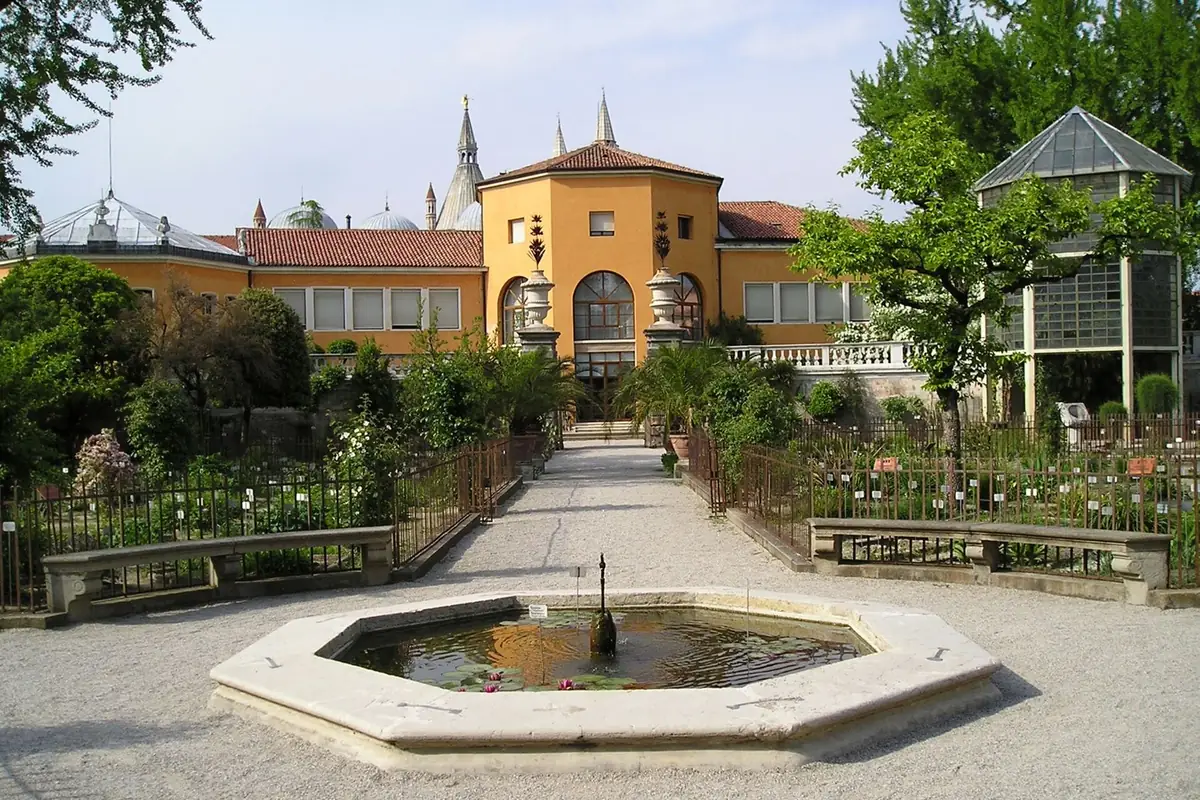 Grădina botanică din Padova: o fântână octogonală între aleile cu pietriș, cu clădirea galbenă în fundal și plante de jur împrejur