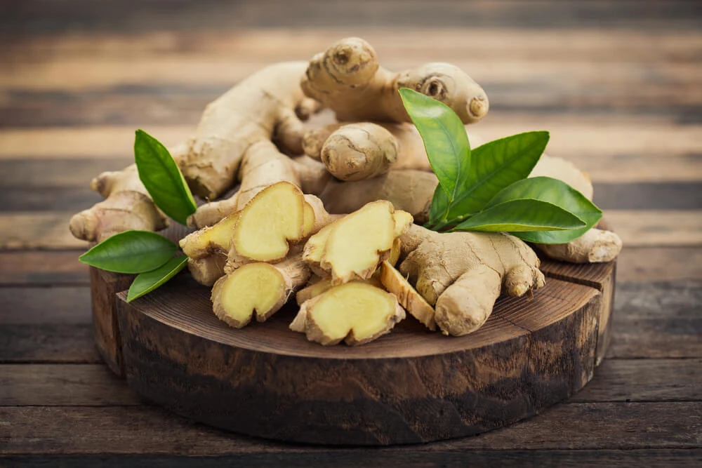 Ghimbir (Zingiber officinale)