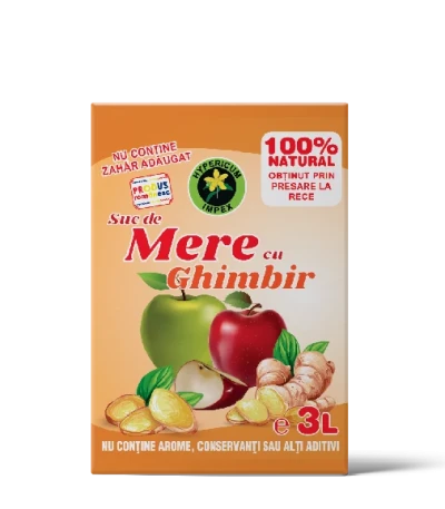 Suc de Mere cu Ghimbir 3L