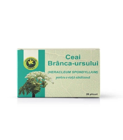 Ceai Branca Ursului doze