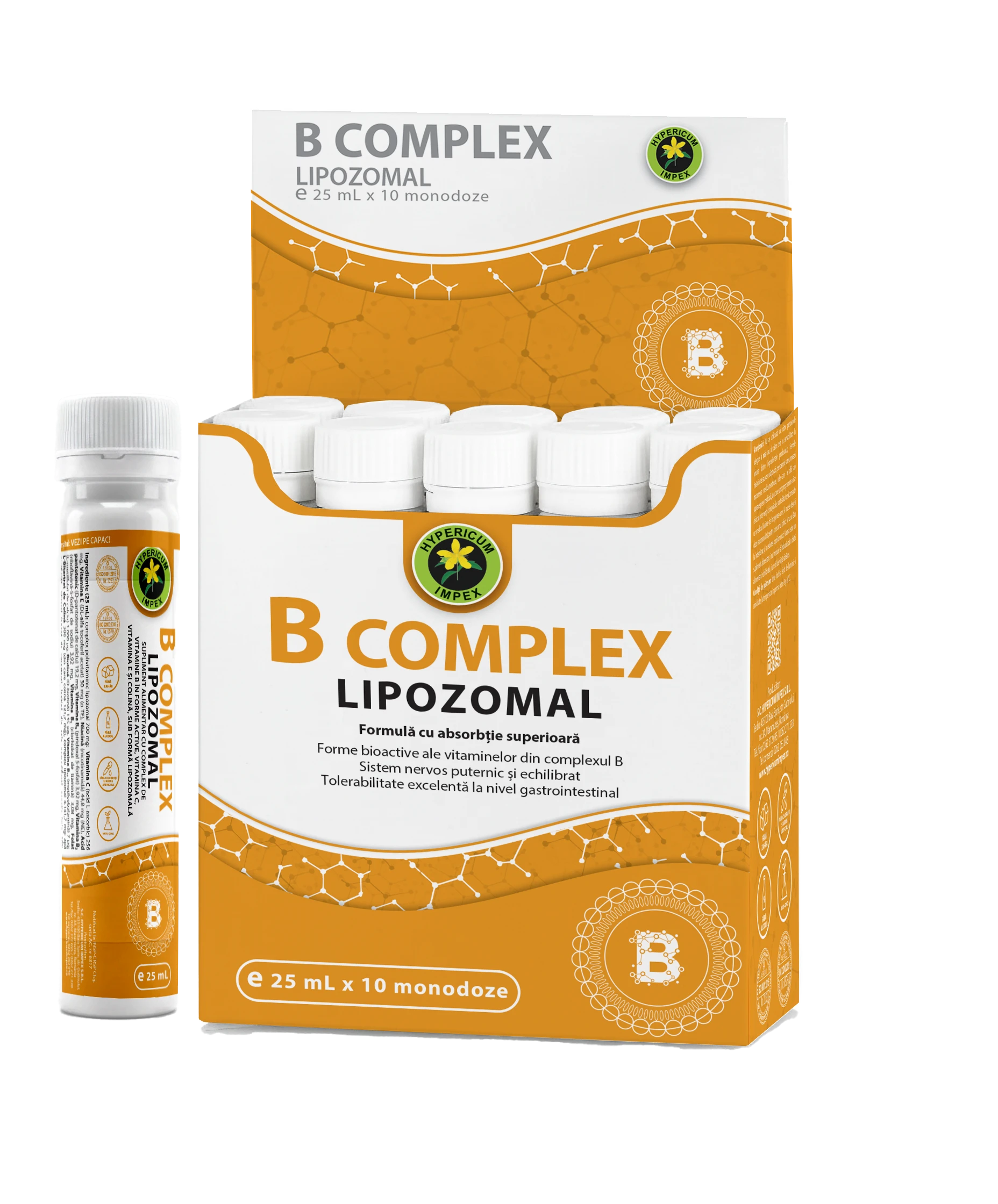 B Complex Lipozomal de la Hypericum contribuie la completarea necesarului zilnic din aceste vitamine și favorizează absorbția și utilizarea lor corectă în organism.