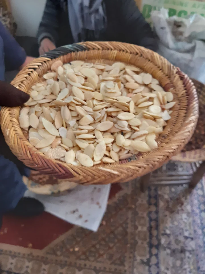 Coș împletit cu miezuri albicioase și plate de argan, scoase din nuci, ținut în mâini într-o cooperativă din Maroc