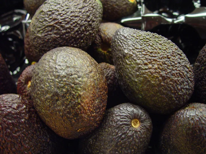 Grămadă de avocado cu coaja groasă, zgrunțuroasă, de culoare închisă, aproape neagră
