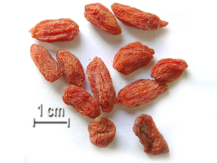 Fructe uscate de goji, zbârcite, portocalii-roșii, împrăștiate pe un fond alb, lângă o scară de 1 cm