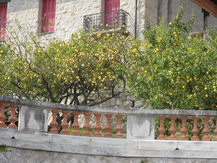 Doi lămâi încărcați de fructe galbene, în spatele unei balustrade, lângă o clădire din piatră