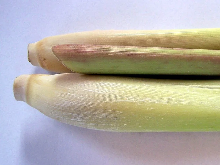 Două tulpini de lemongrass tăiate, cu baza groasă, palidă, verzuie-gălbuie, văzute de aproape