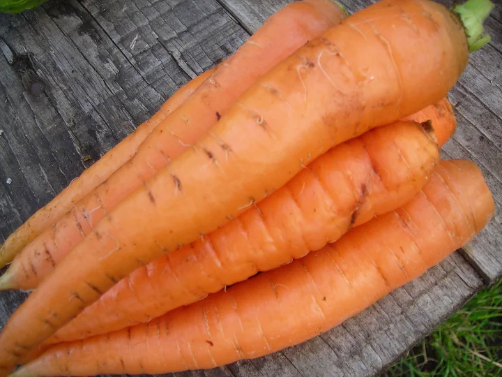 Mai multe rădăcini lungi de morcov cultivat, portocalii, așezate pe o masă de lemn, cu resturi de frunze la capăt